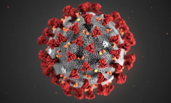 Représentation du virus SARS-CoV-2