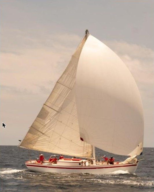Spirit of Zemi sous spinnaker au large de Saint-Barthélemy