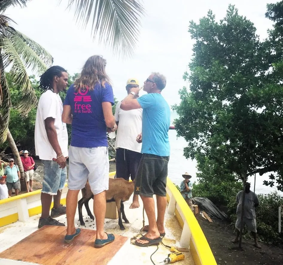 Free in St Barth : thierry, Alexis et Callistus s’apprêtent à tuer un mouton sur le bateau