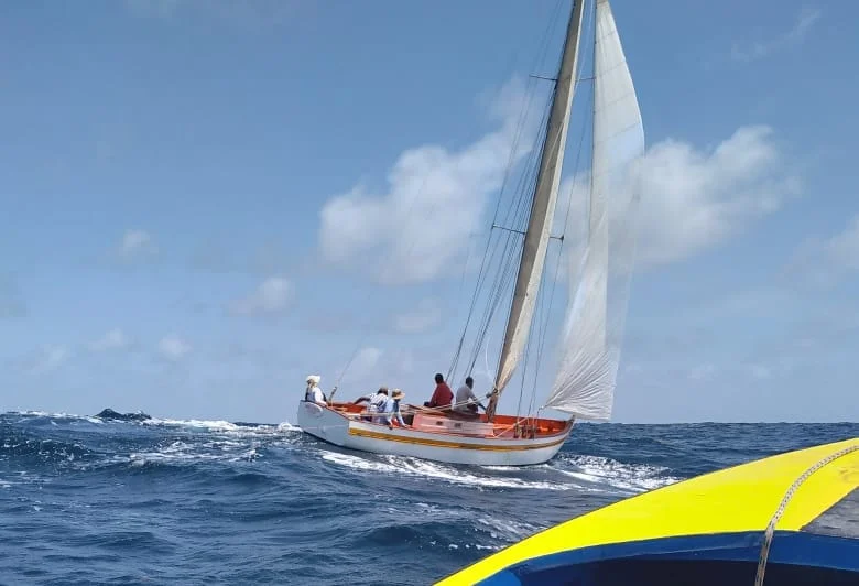 Marie Stella au près dans une mer formée, coque blanche à liseré orange, équipage au vent